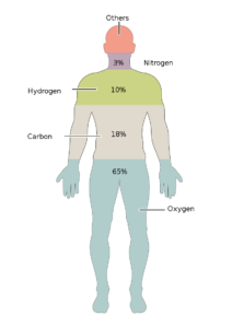 201 elementos del Cuerpo Humano